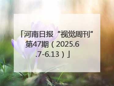 河南日报“视觉周刊”第47期（2025.6.7-6.13）