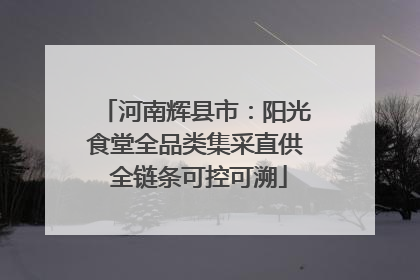 河南辉县市：阳光食堂全品类集采直供 全链条可控可溯