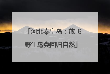 河北秦皇岛：放飞野生鸟类回归自然