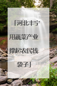 河北丰宁用蔬菜产业撑起农民钱袋子