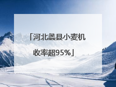 河北蠡县小麦机收率超95%