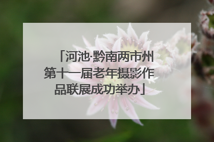 河池·黔南两市州第十一届老年摄影作品联展成功举办