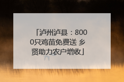 泸州泸县：8000只鸡苗免费送 乡贤助力农户增收