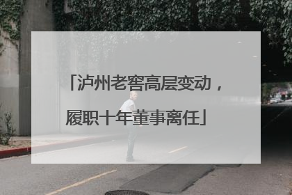 泸州老窖高层变动，履职十年董事离任