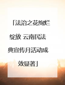 法治之花绚烂绽放 云南民法典宣传月活动成效显著