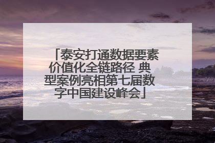 泰安打通数据要素价值化全链路径 典型案例亮相第七届数字中国建设峰会