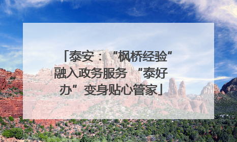 泰安：“枫桥经验”融入政务服务 “泰好办”变身贴心管家