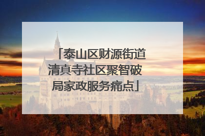 泰山区财源街道清真寺社区聚智破局家政服务痛点