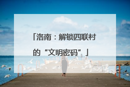 洛南：解锁四联村的“文明密码”