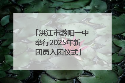 洪江市黔阳一中举行2025年新团员入团仪式