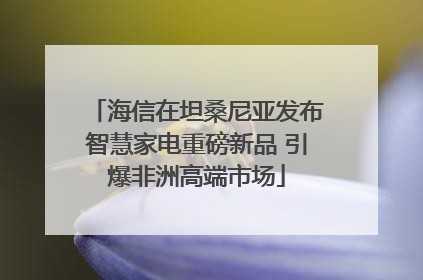 海信在坦桑尼亚发布智慧家电重磅新品 引爆非洲高端市场