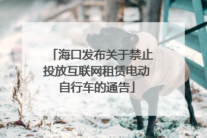 海口发布关于禁止投放互联网租赁电动自行车的通告