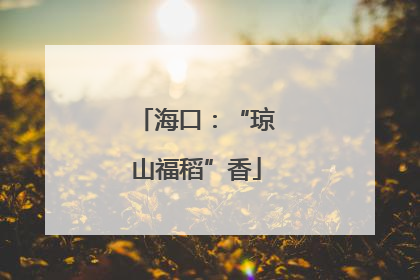 海口：“琼山福稻”香