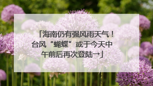 海南仍有强风雨天气！台风“蝴蝶”或于今天中午前后再次登陆→