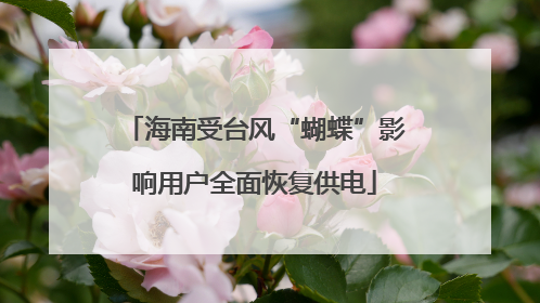 海南受台风“蝴蝶”影响用户全面恢复供电