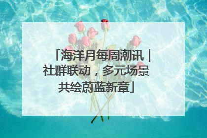 海洋月每周潮讯｜社群联动，多元场景共绘蔚蓝新章