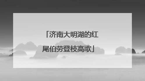 济南大明湖的红尾伯劳登枝高歌