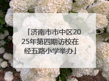 济南市市中区2025年第四期访校在经五路小学举办