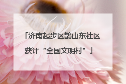 济南起步区鹊山东社区获评“全国文明村”