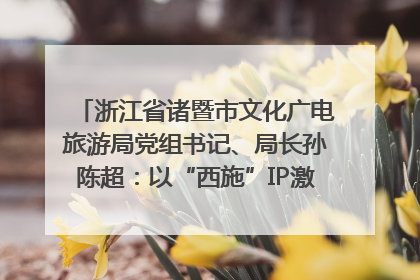 浙江省诸暨市文化广电旅游局党组书记、局长孙陈超：以“西施”IP激活全域旅游 打造县域文旅融合新标杆｜第七届全国县域旅游研究成果发布系列活动