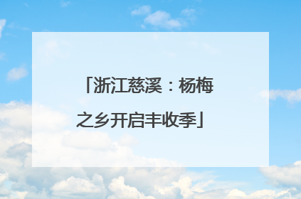 浙江慈溪：杨梅之乡开启丰收季