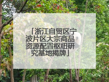 浙江自贸区宁波片区大宗商品资源配置枢纽研究基地揭牌