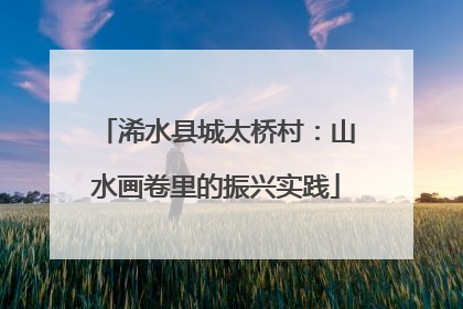 浠水县城太桥村：山水画卷里的振兴实践