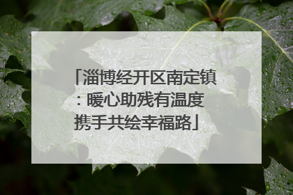 淄博经开区南定镇：暖心助残有温度 携手共绘幸福路
