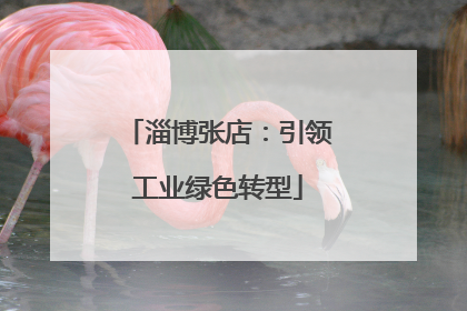 淄博张店：引领工业绿色转型