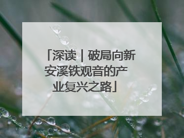 深读｜破局向新 安溪铁观音的产业复兴之路