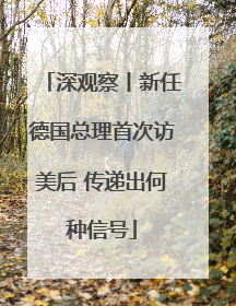 深观察丨新任德国总理首次访美后 传递出何种信号