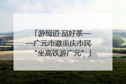 游蜀道·品好茶——广元市邀重庆市民“坐高铁游广元”