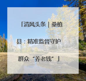 清风头条｜桑植县：精准监督守护群众“养老钱”