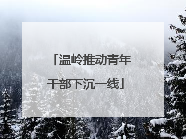 温岭推动青年干部下沉一线
