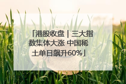 港股收盘｜三大指数集体大涨 中国稀土单日飙升60%