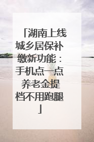 湖南上线城乡居保补缴新功能：手机点一点 养老金提档不用跑腿