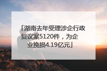 湖南去年受理涉企行政复议案5120件，为企业挽损4.19亿元