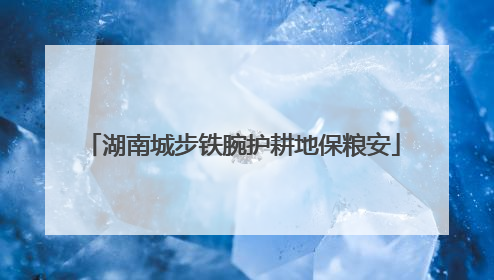 湖南城步铁腕护耕地保粮安