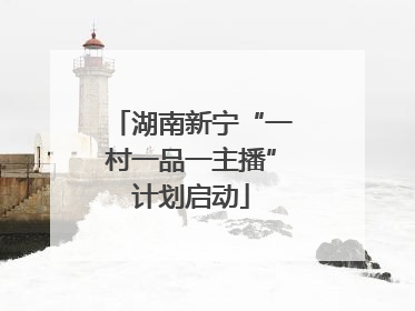 湖南新宁“一村一品一主播”计划启动