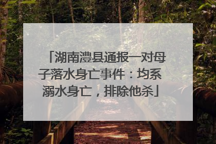 湖南澧县通报一对母子落水身亡事件：均系溺水身亡，排除他杀