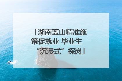 湖南蓝山精准施策促就业 毕业生“沉浸式”探岗
