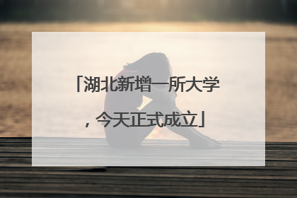 湖北新增一所大学，今天正式成立
