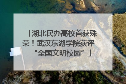 湖北民办高校首获殊荣！武汉东湖学院获评“全国文明校园”