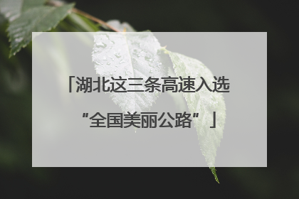 湖北这三条高速入选“全国美丽公路”