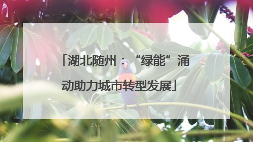 湖北随州：“绿能”涌动助力城市转型发展