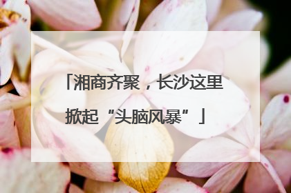 湘商齐聚，长沙这里掀起“头脑风暴”