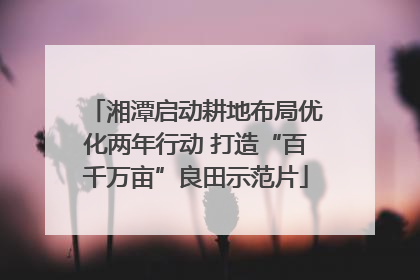 湘潭启动耕地布局优化两年行动 打造“百千万亩”良田示范片