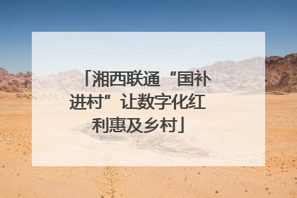 湘西联通“国补进村”让数字化红利惠及乡村
