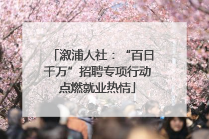 溆浦人社：“百日千万”招聘专项行动点燃就业热情