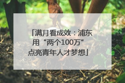 满月看成效：浦东用“两个100万”点亮青年人才梦想